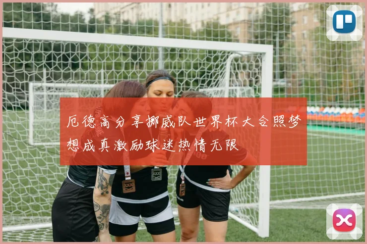 厄德高分享挪威队世界杯大合照梦想成真激励球迷热情无限