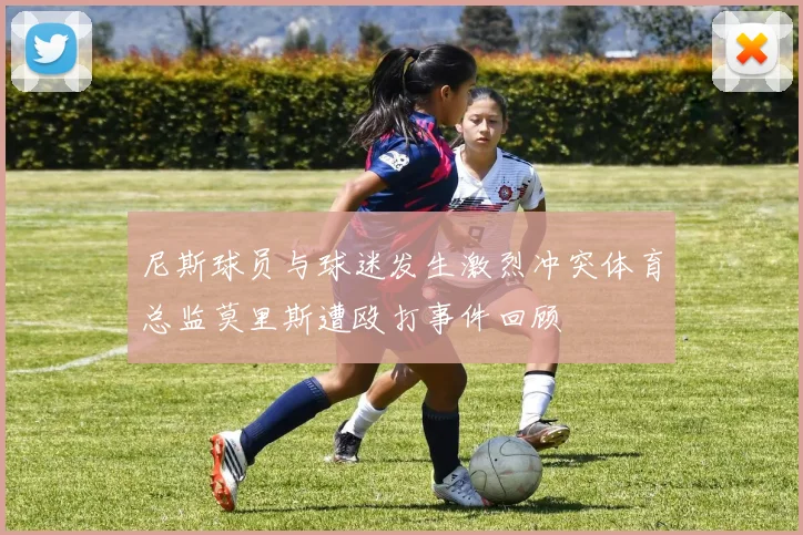 尼斯球员与球迷发生激烈冲突体育总监莫里斯遭殴打事件回顾