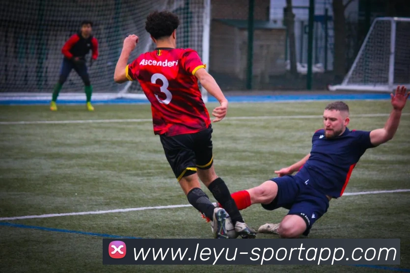 乐鱼体育平台生态图